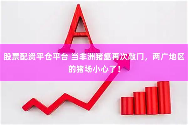 股票配资平仓平台 当非洲猪瘟再次敲门，两广地区的猪场小心了！