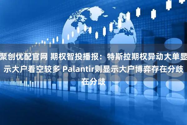 聚创优配官网 期权智投播报：特斯拉期权异动大单显示大户看空较多 Palantir则显示大户博弈存在分歧