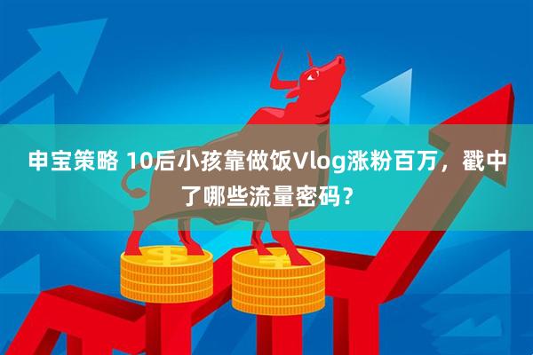 申宝策略 10后小孩靠做饭Vlog涨粉百万，戳中了哪些流量密码？