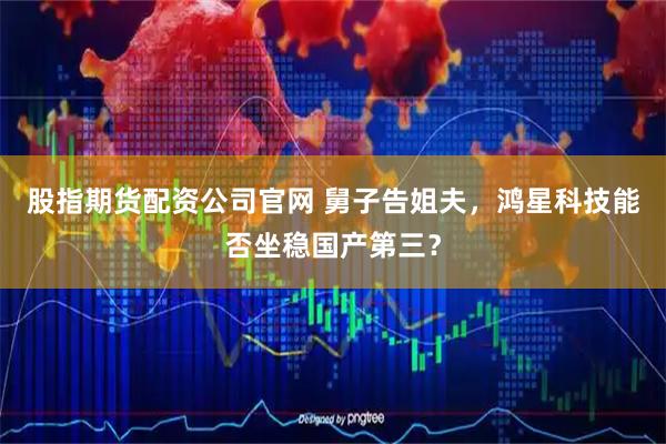 股指期货配资公司官网 舅子告姐夫，鸿星科技能否坐稳国产第三？